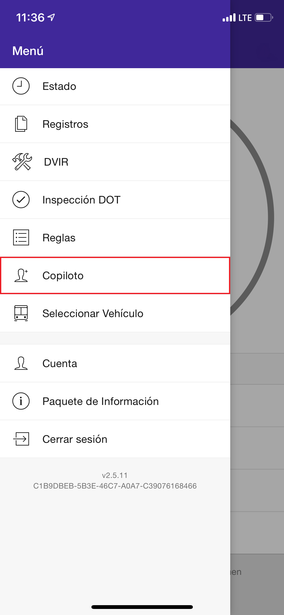Copiloto1.png