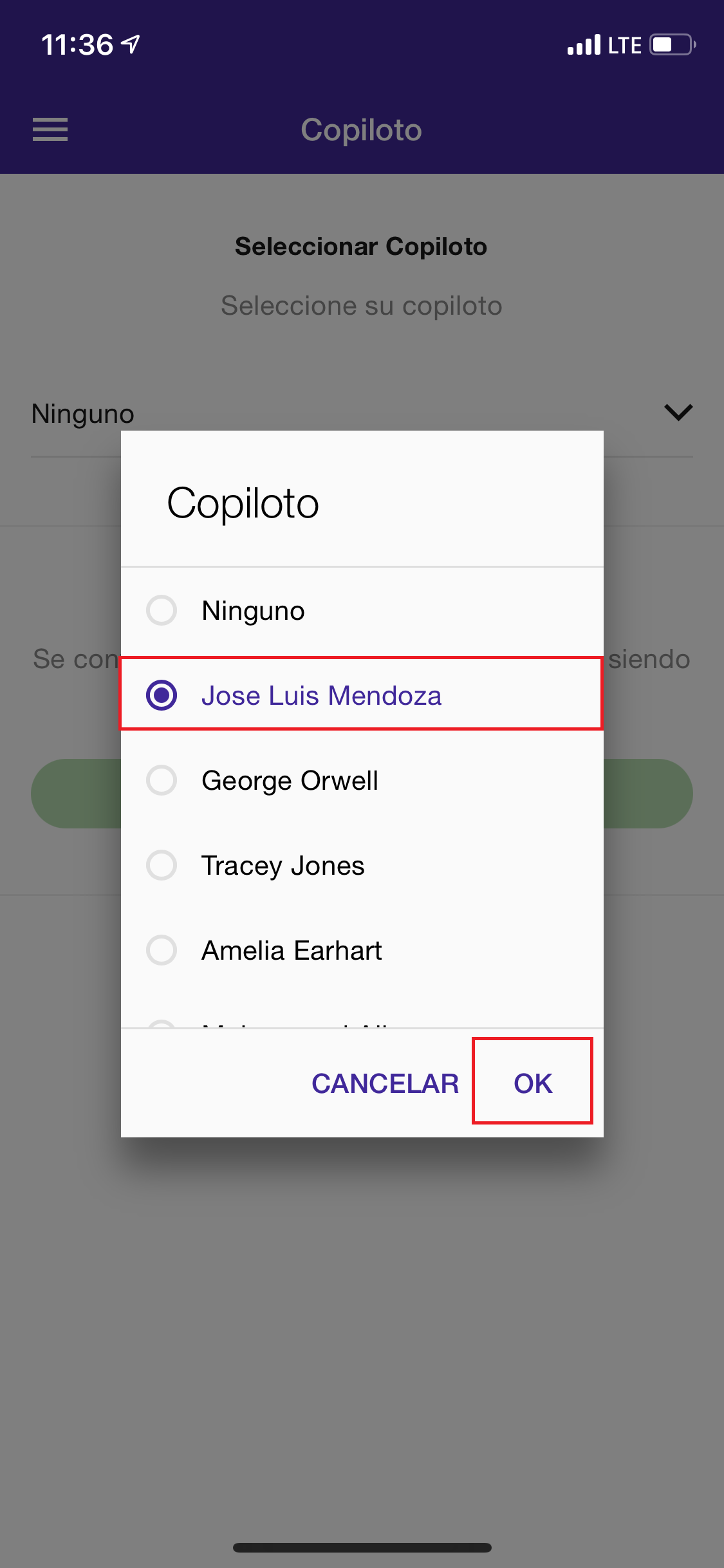 copiloto3.png
