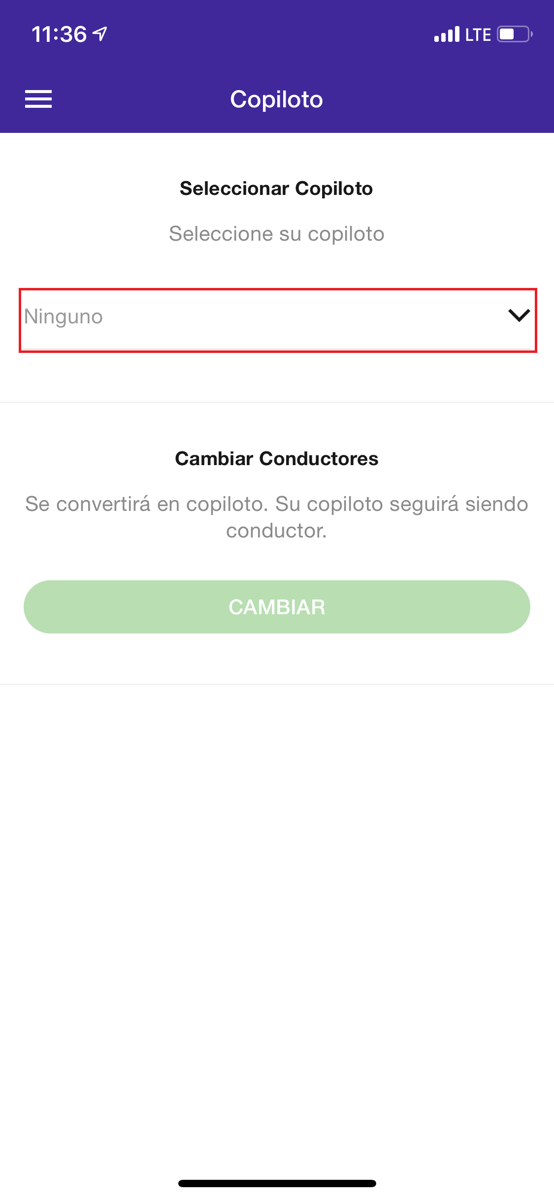 copiloto2.png